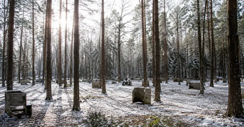 Terrain forestier de Tag Brussels sous la neige, avec ses obstacles en bois entre les pins