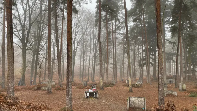 Le terrain forestier privé de Bierges (Wavre), vu depuis la lisière du bois
